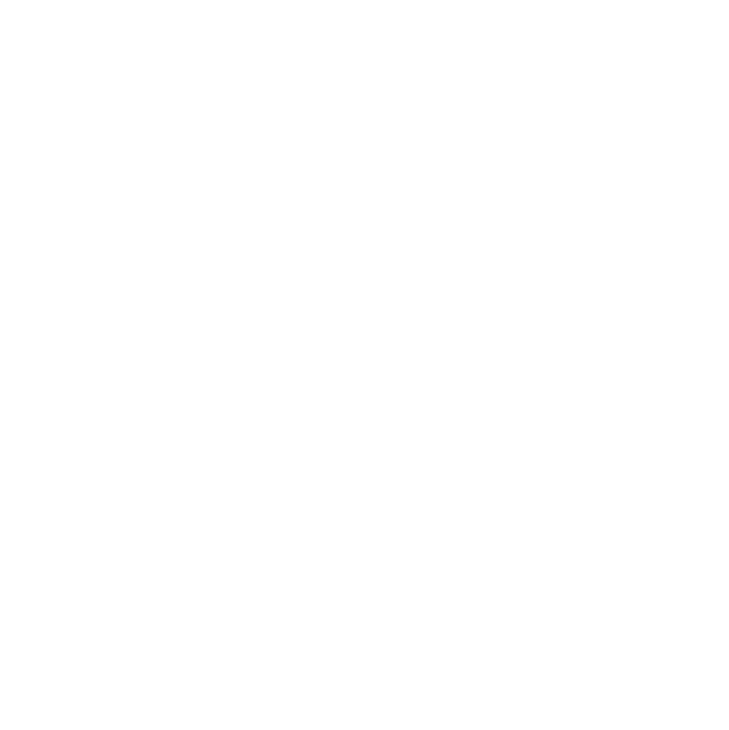 V Patch Marketing Agency